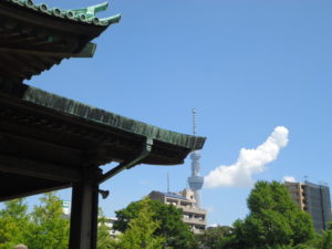 晴れている日の写真